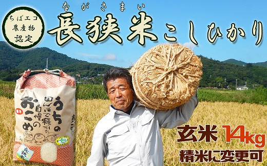 鴨川市自慢のブランド米『長狭米こしひかり』農家さん直送でお届けします!