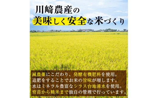 A3 005 米の匠 川崎さん自慢のなつほのか 計9kg 4 5kg 2袋 鹿児島県志布志市 ふるさと納税 ふるさとチョイス