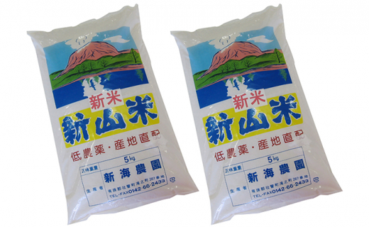 [№5724-0454]◆令和5年産新米◆新山米(ななつぼし)5kg×2袋 10kg 隔月3回お届け