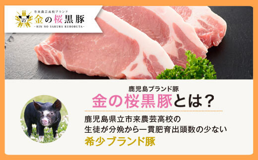 鹿児島県産 黒豚 中華丼の具（レンジ対応）4パック
