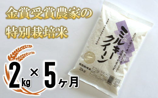 1234 金賞受賞農家 特別栽培米 ミルキークイーン定期便 ２kg ５回 山形県南陽市 ふるさと納税 ふるさとチョイス