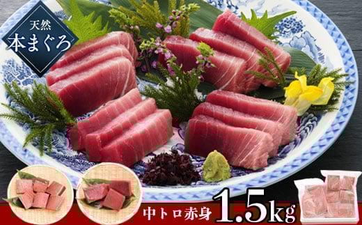 a16-063　訳あり 鮪 刺身 天然 本マグロ 中トロ 赤身 1.5Kg