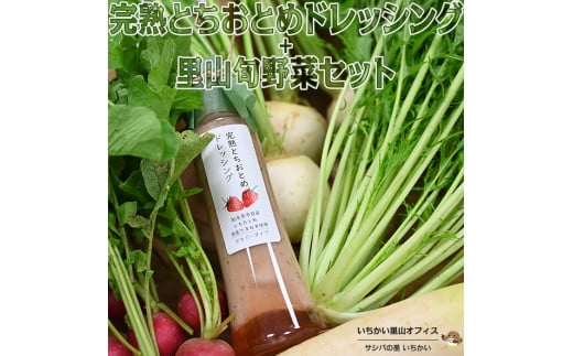 完熟とちおとめドレッシングと里山旬野菜セット 699436 - 栃木県市貝町