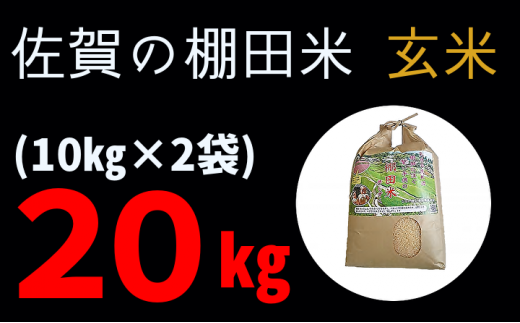 棚田米 夢しずく 玄米 10kg × 2袋 計 20kg | ひらの棚田米 ※画像はイメージです。
