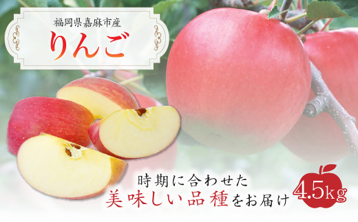 りんご 4.5kg 九州産