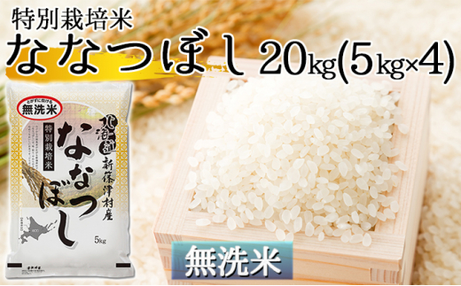 【無洗米】北海道新篠津村産 特別栽培米ななつぼし20kg（5kg×4） 1267438 - 北海道新篠津村