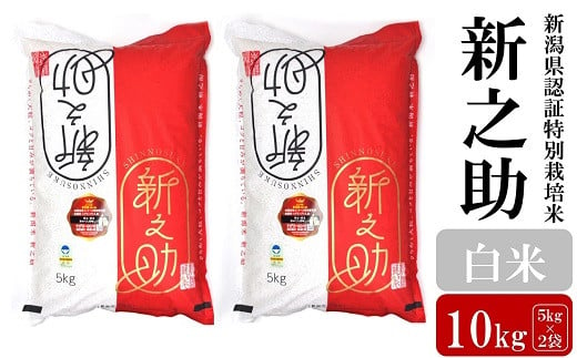 【令和5年産米】新潟県認証特別栽培米 新之助 白米 10kg（5kg×2袋）[ZF244] 269683 - 新潟県柏崎市