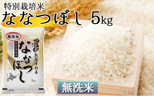 【無洗米】北海道新篠津村産 特別栽培米ななつぼし5kg 1267433 - 北海道新篠津村