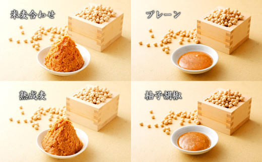 味噌と万能味噌だれセット(3) 5360g まぼろしの味噌 みそ 合わせ みそだれ 熊本県 特産品