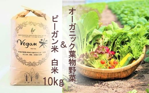 CQ023 オーガニック葉物野菜セットとビーガン白米10㎏【植物性で育てた完全無農薬のサガンベジブランド】