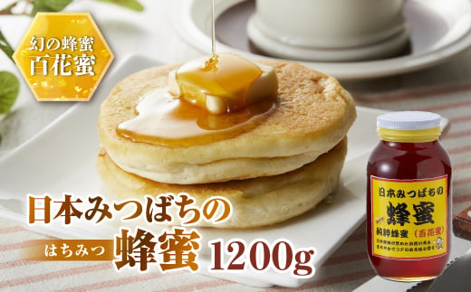 日本みつばちの蜂蜜1,200g ミツバチ 蜜蜂 希少 幻 パンケーキ スイーツ
