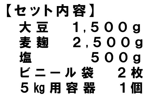 A 3 麦味噌作りセット 容器付き 出来上がり約5kg 熊本県あさぎり町 ふるさと納税 ふるさとチョイス