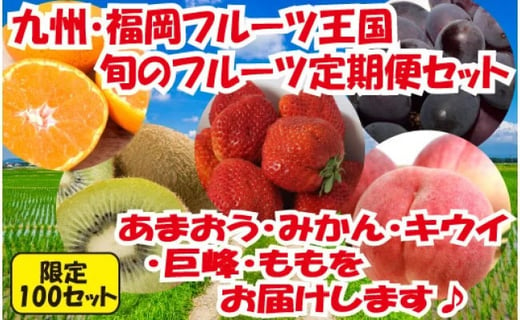 九州 福岡フルーツ王国八女 旬のフルーツ定期便 全５回 A 22年1月以降発送予定 福岡県八女市 ふるさと納税 ふるさとチョイス