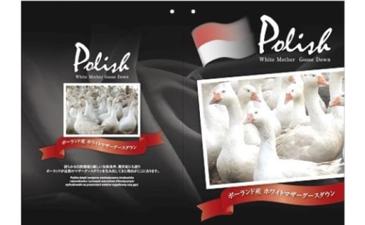 ポーランド産ホワイトマザーグースダウン95％の最高級羽毛（1.1㎏）使用　ツインキルト羽毛掛布団シングル（寒色系/柄お任せ）
