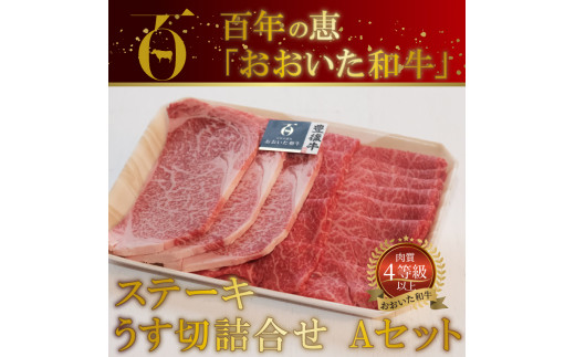 【A01063】 百年の恵 「おおいた和牛」 ステーキ・うす切詰合せ Aセット約700g