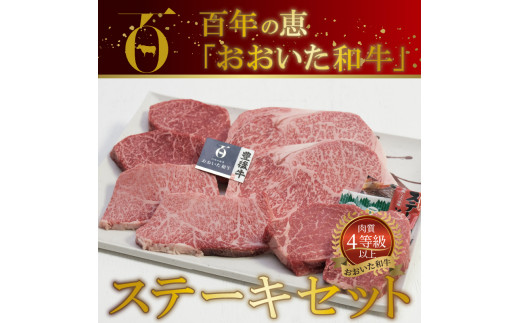 【A01066】百年の恵 「おおいた和牛」 ステーキセット約800g