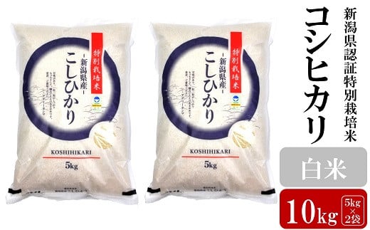【令和5年産米】新潟県認証特別栽培米 コシヒカリ 白米 10kg（5kg×2袋）[ZB361] 269957 - 新潟県柏崎市