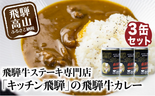 飛騨牛カレー 3缶 セット 飛騨カレー キッチン飛騨 コラボ ビーフ カレー 33 406 A553 岐阜県高山市 ふるさと納税 ふるさとチョイス