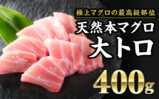 Ch 66 天然本マグロ 大トロ 大満足400g 先行予約商品 １０月以降出荷予定 三重県尾鷲市 ふるさと納税 ふるさとチョイス