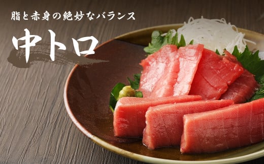 長崎県産 本マグロ3種盛り「大トロ・中トロ・赤身」約3kg
