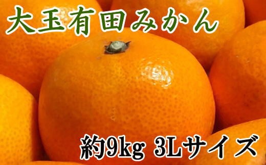 【食べごたえ十分】有田みかん大玉約9kg（3Lサイズ・秀品）※2024年11月中旬～1月中旬頃順次発送（お届け日指定不可）【tec879】 763304 - 和歌山県串本町