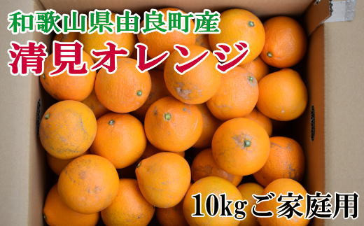 【訳あり・ご家庭用】和歌山由良町産の濃厚清見オレンジ約10kg　※2023年2月中旬頃～2月下旬頃に発送予定（お届け日指定不可）