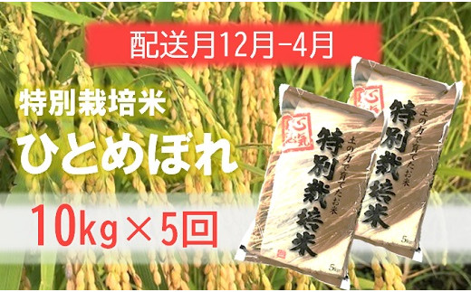 定期便5回【12月～4月】エコファーマーのひとめぼれ10kg×5回 1981400 - 山形県三川町