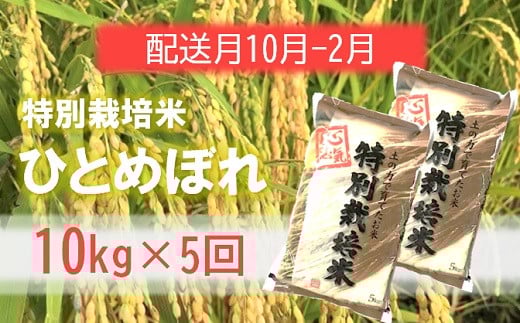 定期便5回【10月～2月】エコファーマーのひとめぼれ10kg×5回 1981398 - 山形県三川町