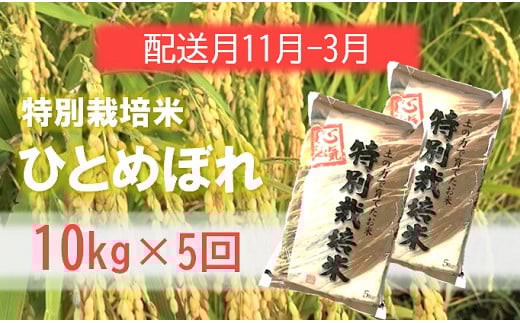 定期便5回【11月～3月】エコファーマーのひとめぼれ10kg×5回 1981399 - 山形県三川町