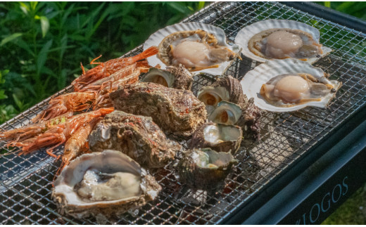 A53 403 庄内浜海鮮ｂｂｑ バーベキュー セット ２ ３人前 山形県鶴岡市 ふるさと納税 ふるさとチョイス