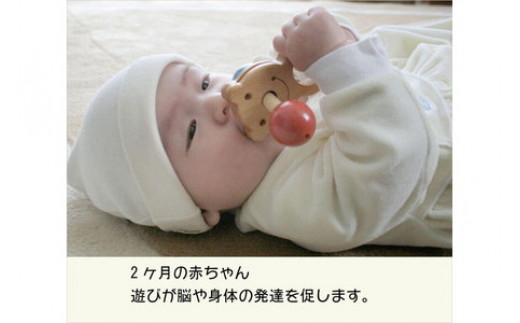 101 003 木のおもちゃ 赤ちゃんのおもちゃ箱セット Eタイプ 長野県上田市 ふるさと納税 ふるさとチョイス