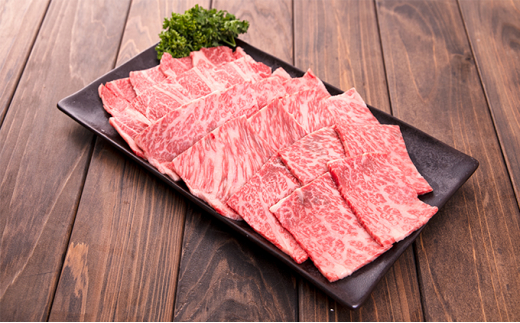 №5991-0984]ファーマーズマーケット"り菜あん"福島牛焼肉セット 700G - 福島県中島村 | ふるさと納税 [ふるさとチョイス]