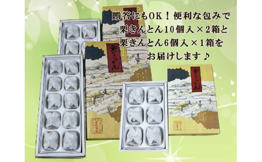 【2024年1月お届け】御菓子処信玄堂 中津川銘菓：栗きんとん26個（10個入×2箱＋6個入1箱） ＜秋季限定＞ 25-002-01