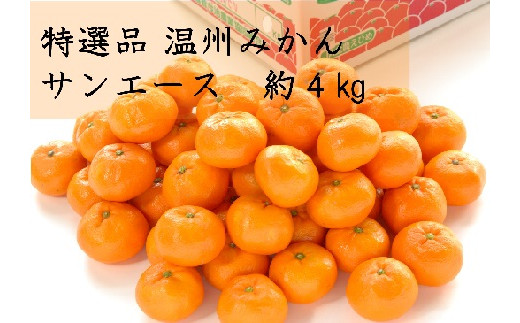 特選品温州みかんサンエース B 221 愛媛県今治市 ふるさと納税 ふるさとチョイス