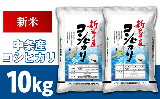 23-A1新潟県中条産コシヒカリ10kg（5kg×2袋）