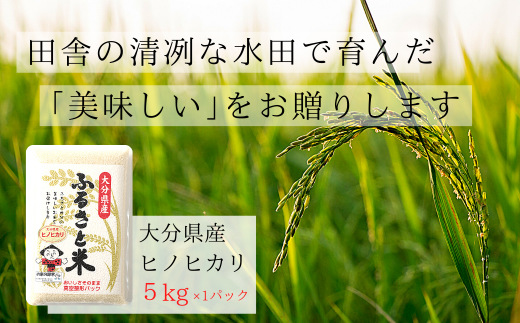 大分県産ひのひかり(5kg)米 お米 ひのひかり ヒノヒカリ 白米 真空パック 大分県産【107800100】【お米の鈴木】 249832 - 大分県宇佐市