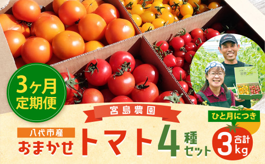 【 定期便 3回】 おまかせ トマト 4種 3kg 八代市産 トマト 計9kg