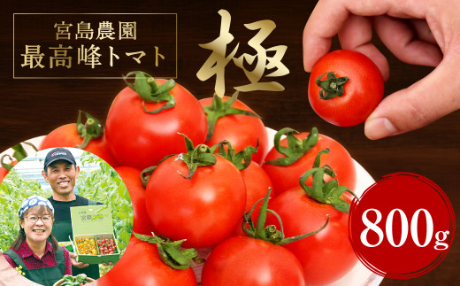 宮島農園 最高峰 トマト 極 800g 希少 とまと 八代市産