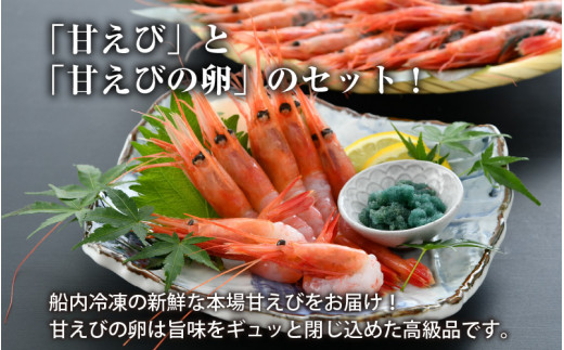 本場の濃厚な 甘えび 約500g えびっ子 約50g A 7004 福井県坂井市 ふるさと納税 ふるさとチョイス