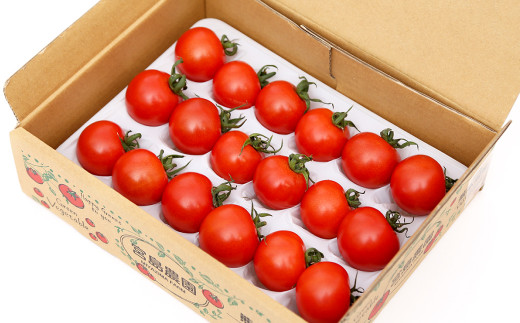 宮島農園 最高峰 トマト 極 800g 希少 とまと 八代市産