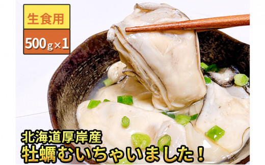 [№5863-0297]北海道厚岸産 牡蠣むいちゃいました！（生食用）500ｇ×1【生牡蠣むき身】