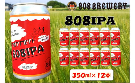 小山市の農作物を使ったhandmadeクラフトビール ８０８ブルワリー ８０８ｉｐａ 350ml 12缶 栃木県小山市 ふるさと納税 ふるさとチョイス