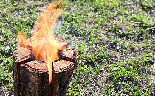 スウェーデントーチ（小）、薪5㎏（広葉樹）キャンプストーブ・焚き火用、スモーク用チップ30ｇセット【01122】