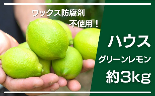 大崎上島産 皮まで丸ごと食べられるハウスグリーンレモン約3 広島県大崎上島町 ふるさと納税 ふるさとチョイス