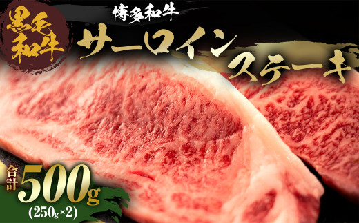 福岡県産 黒毛和牛 博多和牛 サーロインステーキ 500g (250g×2)