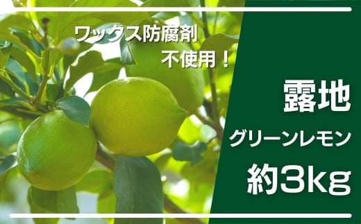 大崎上島産 皮まで丸ごと食べられる露地グリーンレモン約3kg 広島県大崎上島町 ふるさと納税 ふるさとチョイス