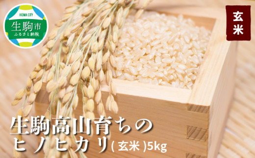 生駒高山育ちの　ヒノヒカリ玄米5kg(生産者　上武猛)　令和5年産新米|生産者　上武猛