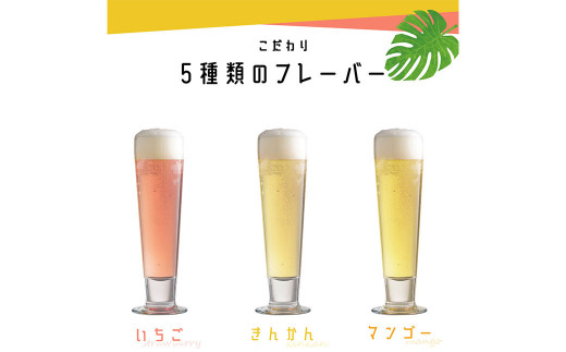 【5か月定期便】ノンアルコール クラフトビール 計10本入り（毎月）アルコール0.0％