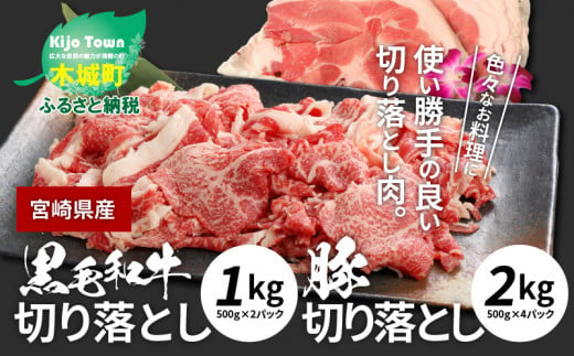 牛肉＆豚肉切り落としセット【合計3kg】 K16_0057_2