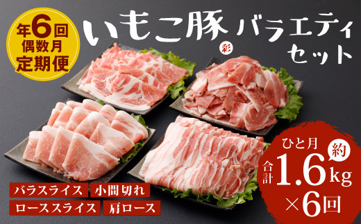 【訳あり】【定期便年6回/偶数月発送】いもこ豚(彩) バラエティセット 1.6kg 豚肉 国産